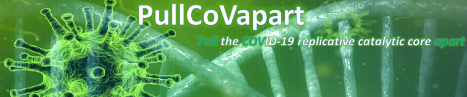 PullCoVapart – Pull the Covid-19 replicative catalytic core apart